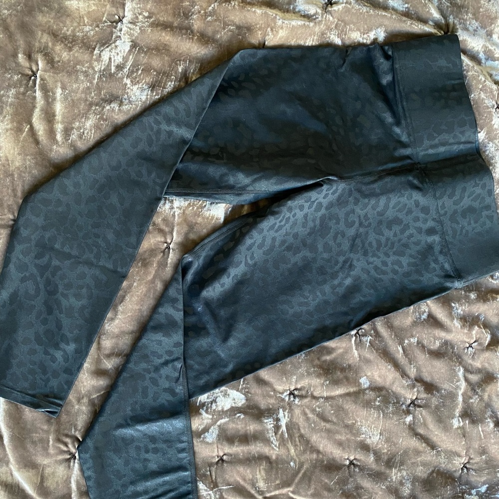 Carbon38